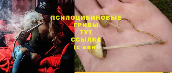 jwh Бугульма