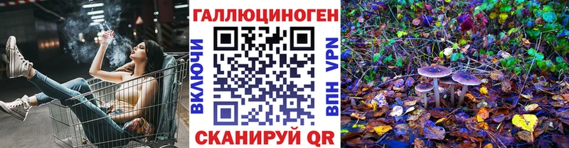 Псилоцибиновые грибы Cubensis Пионерский