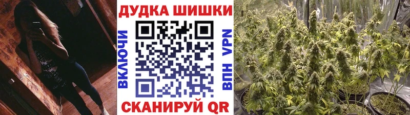 mega зеркало  Пионерский  МАРИХУАНА тримм  что такое  